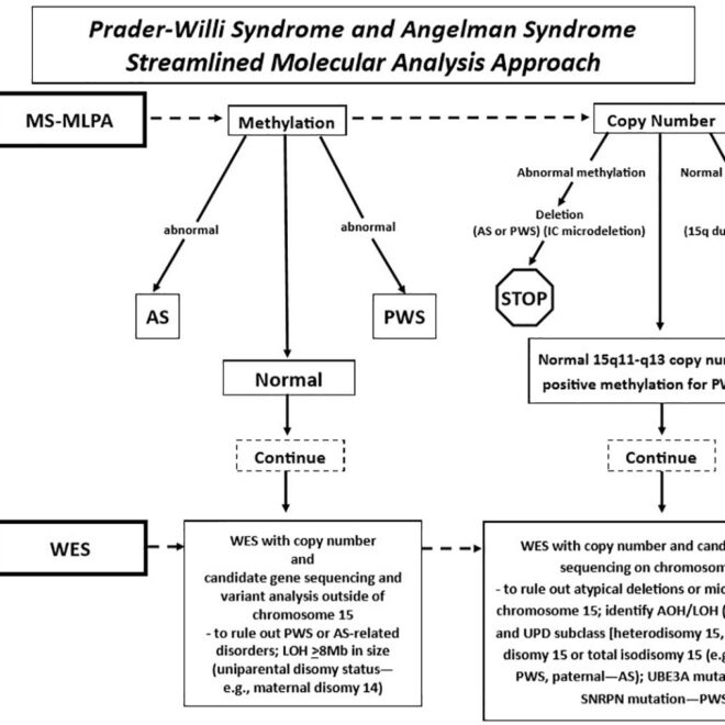 Prader-Willi Syndrome: Causes, Symptoms, and Management