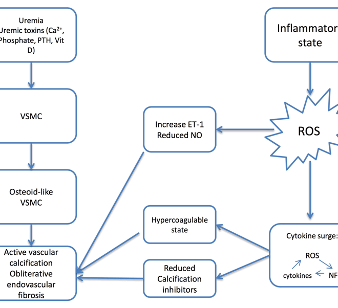 Calciphylaxis (Calcific Uremic Arteriolopathy): A Complete Guide