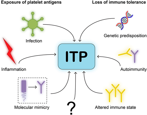 Idiopathic Thrombocytopenic Purpura (ITP): A Complete Guide