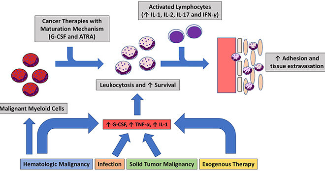 Sweets Syndrome: A Detailed Overview of Symptoms, Causes, and Treatments