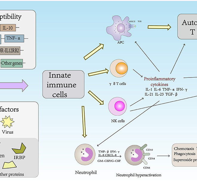 Behcet’s Syndrome (Behcet’s Disease): Overview, Causes, Symptoms & Treatments