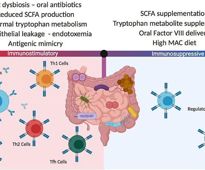 Hemophilia: Understanding the Bleeding Disorder (Factor VIII Deficiency)