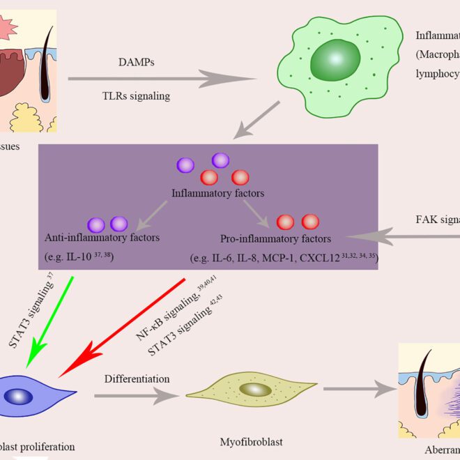 Keloid Scars: Causes, Symptoms, and Treatments Explained