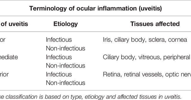 Uveitis: A Guide to Understanding Eye Inflammation (Uveitis)