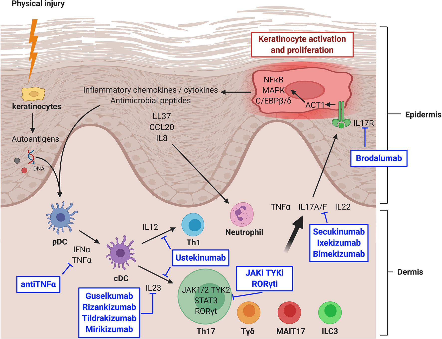 Psoriasis: Understanding the Skin Condition, Its Triggers, and Treatments