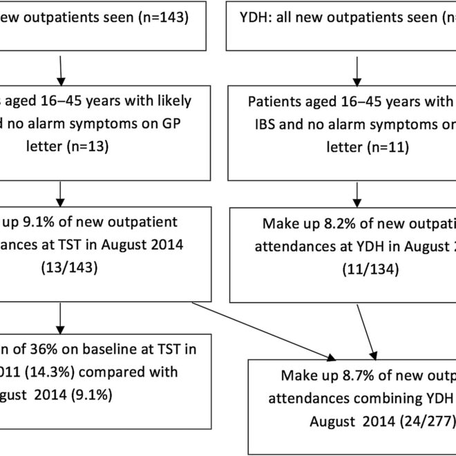 Irritable Bowel Syndrome (IBS): Symptoms, Triggers, and Management Options