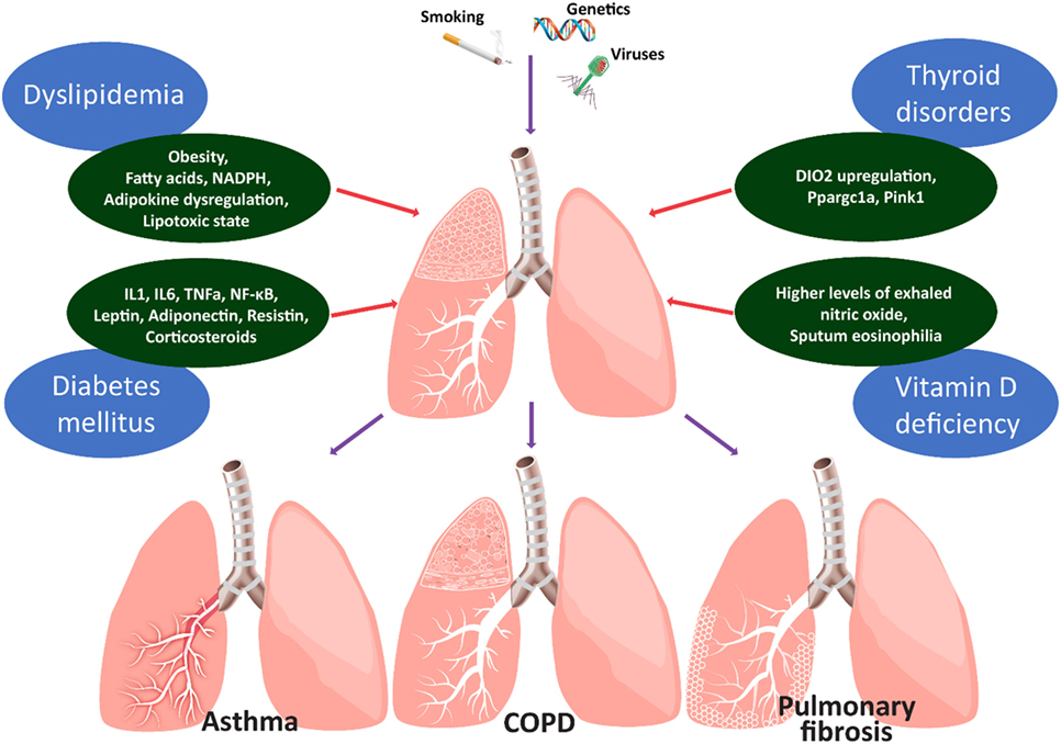 Chronic Obstructive Pulmonary Disease (COPD): Overview, Causes, Symptoms & Care