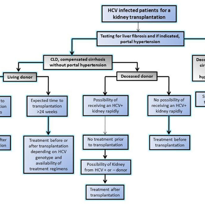 Kidney Infection (Pyelonephritis): Causes, Symptoms, Diagnosis, and Treatment