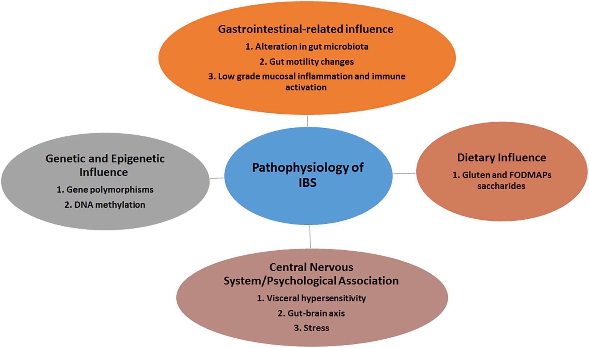 Irritable Bowel Syndrome (IBS): Symptoms, Triggers, and Management Options
