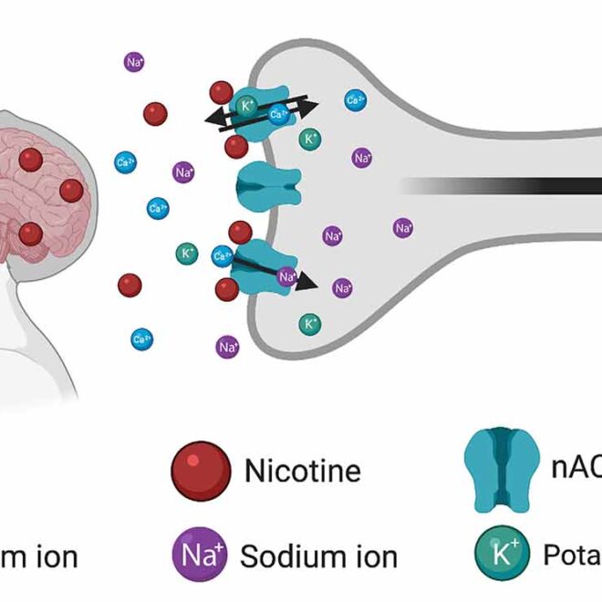 Nicotine Addiction (Dependence): Causes, Effects, and How to Quit