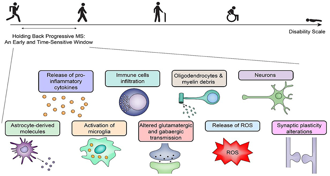Multiple Sclerosis: Understanding the Disease, Its Triggers, and Management Options
