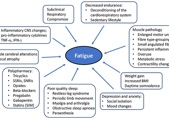 Poliomyelitis (Polio): Causes, Symptoms, Transmission, and Prevention