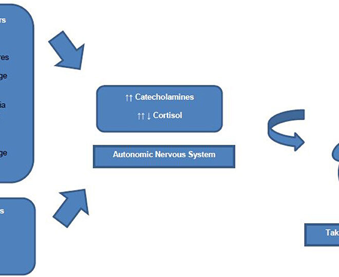 Takotsubo Cardiomyopathy: Causes, Symptoms, Diagnosis & Treatment