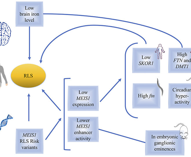Restless Legs Syndrome (RLS): Overview, Causes, Symptoms & Treatments