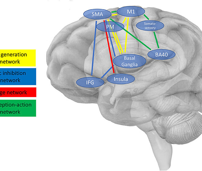 Tourette Syndrome: Understanding Tics, Causes, and Management
