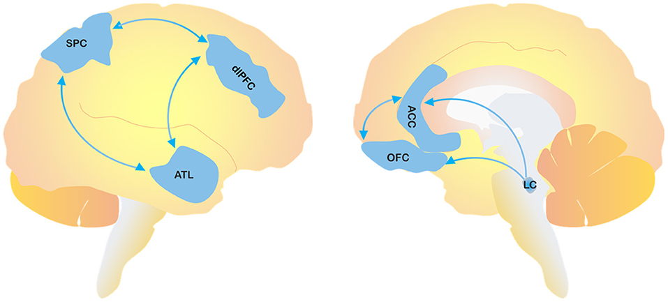 Dementia: Understanding Memory Loss, Types, and Care Options