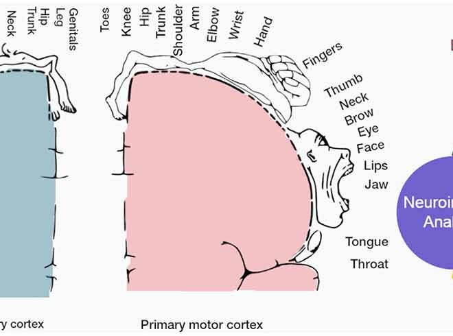 Essential Tremor (Shaky Hands): Overview, Causes, Diagnosis & Management