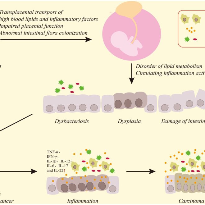 Inflammation of the Rectum (Proctitis): Causes, Symptoms, and Treatments