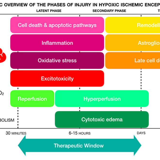 Brain Dysfunction (Encephalopathy): Overview, Types, Causes & Care