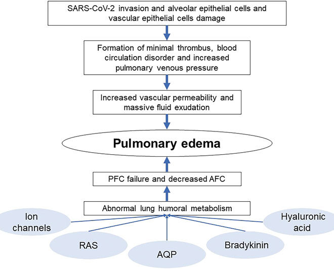 Pulmonary Edema: Causes, Symptoms, Diagnosis, and Treatment