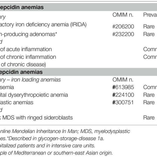 Iron Deficiency: Causes, Symptoms, Diagnosis, and Treatment