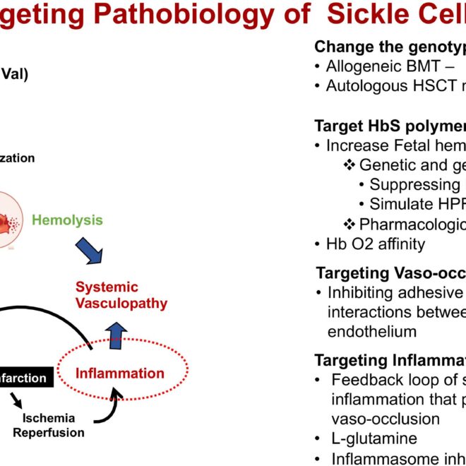Sickle Cell Anemia: Understanding the Disease, Its Effects, and Care Options