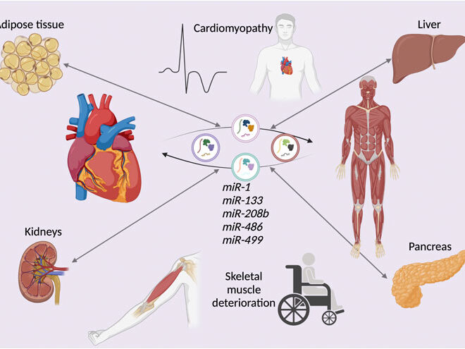 Duchenne Muscular Dystrophy: Causes, Symptoms, Progression, and Care Options