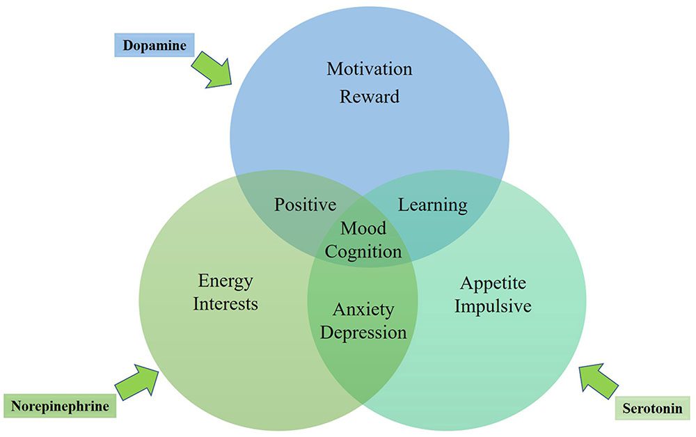 Major Depressive Disorder (MDD): A Complete Guide