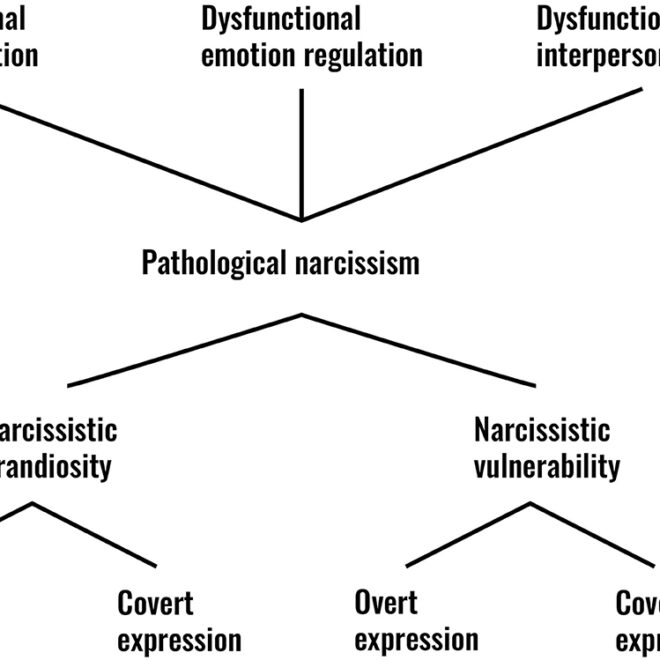 Narcissistic Personality Disorder: Definition, Traits, Diagnosis, and Treatment