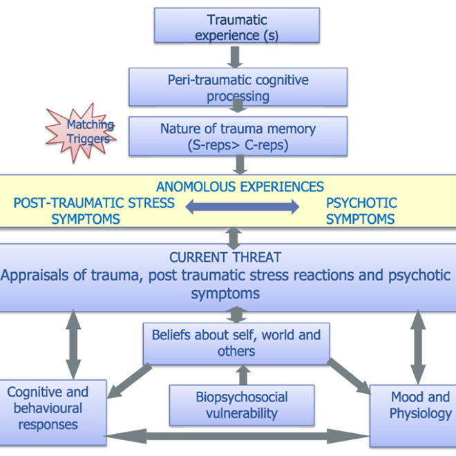 Schizoaffective Disorder: Understanding Symptoms, Types, and Treatments