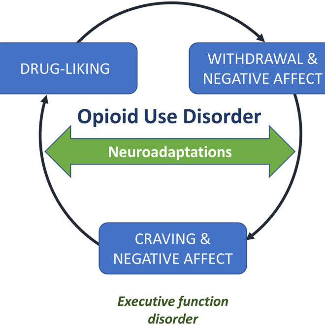 Opioid Withdrawal: Symptoms, Timeline, and Management