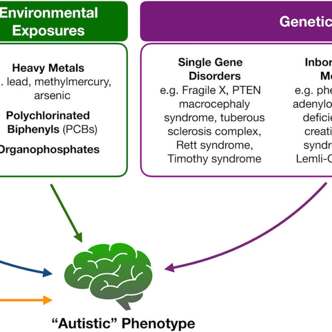 Autism Spectrum Disorder: Understanding the Condition, Symptoms, and Support Options