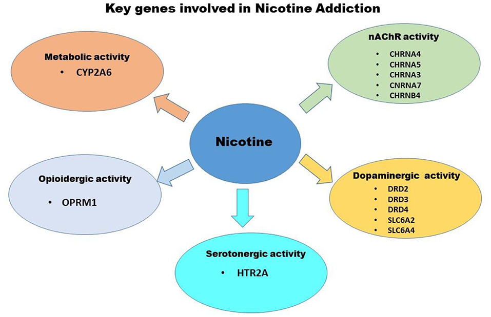 Nicotine Addiction (Dependence): Causes, Effects, and How to Quit