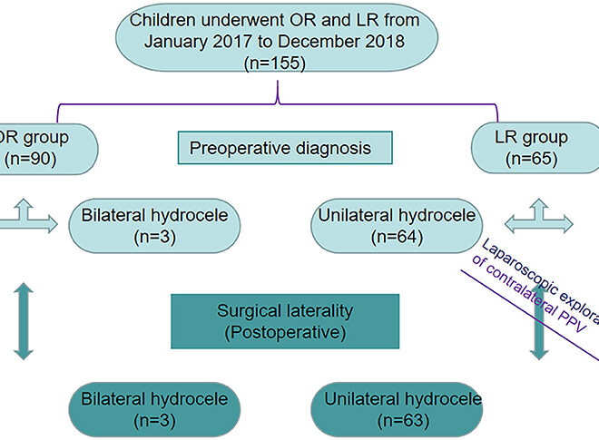 Hydrocele: What It Is, Causes, Symptoms & Treatment