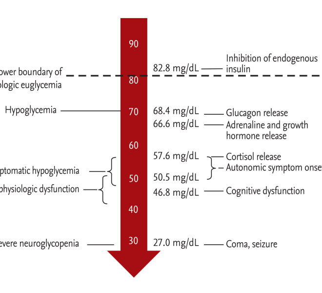 Low Blood Sugar (Hypoglycemia): Overview, Symptoms, Causes & Management