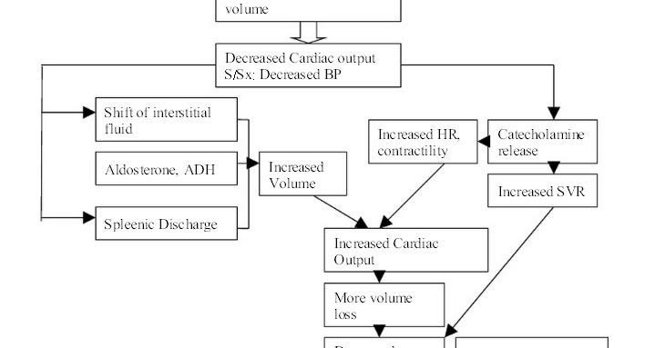 Hypovolemic Shock: Understanding Low Blood Volume Emergencies (Medically Known as Hypovolemic Shock)
