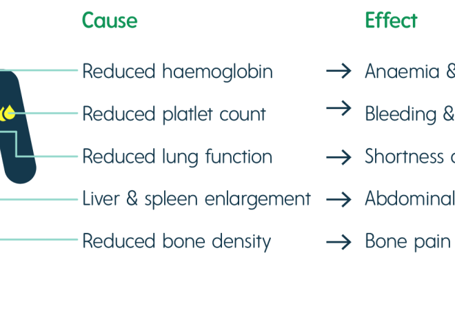 Gaucher’s Disease (Disorder of Fat Storage): Overview, Types, Symptoms & Care