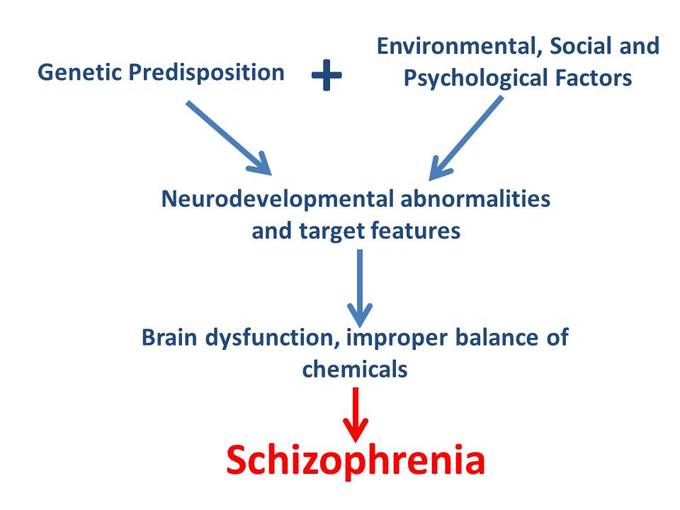 Schizophrenia: Understanding the Mental Health Disorder (Psychosis)
