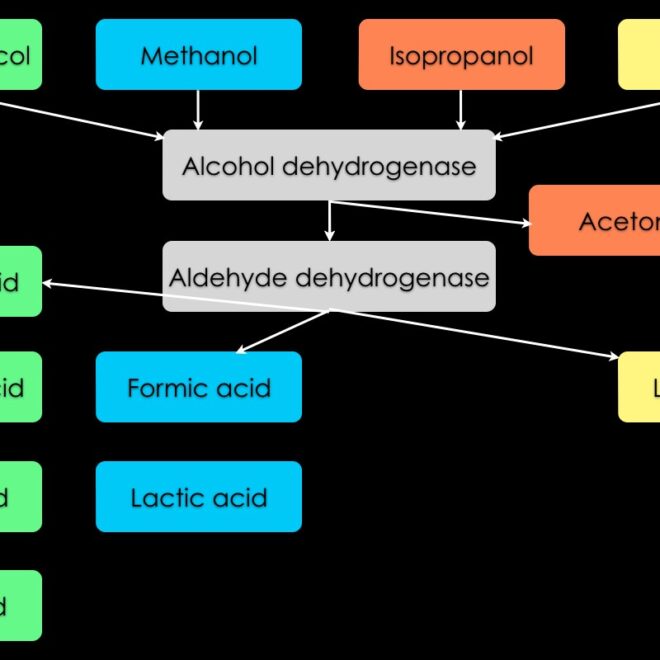 Alcohol Poisoning: Causes, Symptoms, Effects, and Treatment